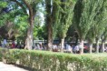 /album/pranzo-solidale/a1setpranzocaritas-1-jpg/